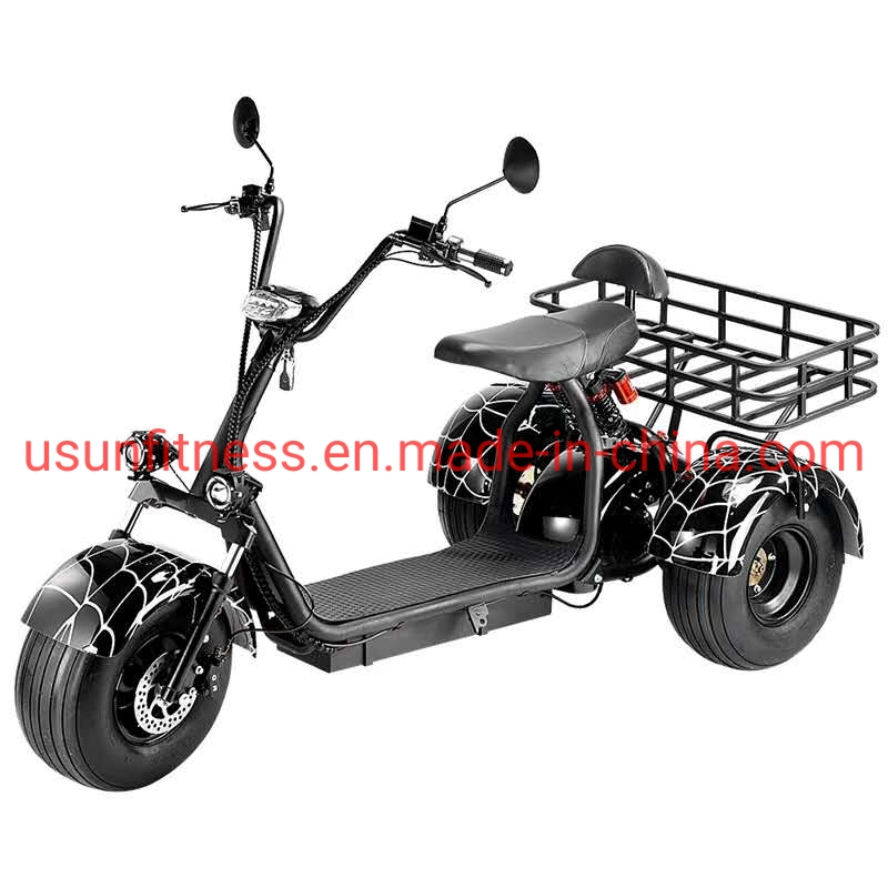 Special Vehicles for Farms and Gardens Electric Motor Bike Electric Tricycle Cargo with Double Seats for Adult