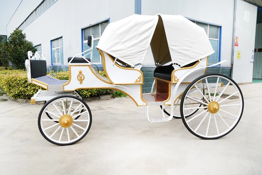 Traditional Transport Carriage Vehicle/Sightseeing White Horse Carriage/Pumpkin Horse Wagon