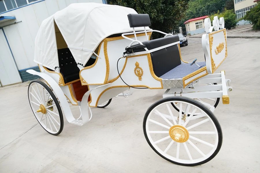 Traditional Transport Carriage Vehicle/Sightseeing White Horse Carriage/Pumpkin Horse Wagon